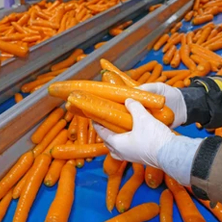 Post Harvesting