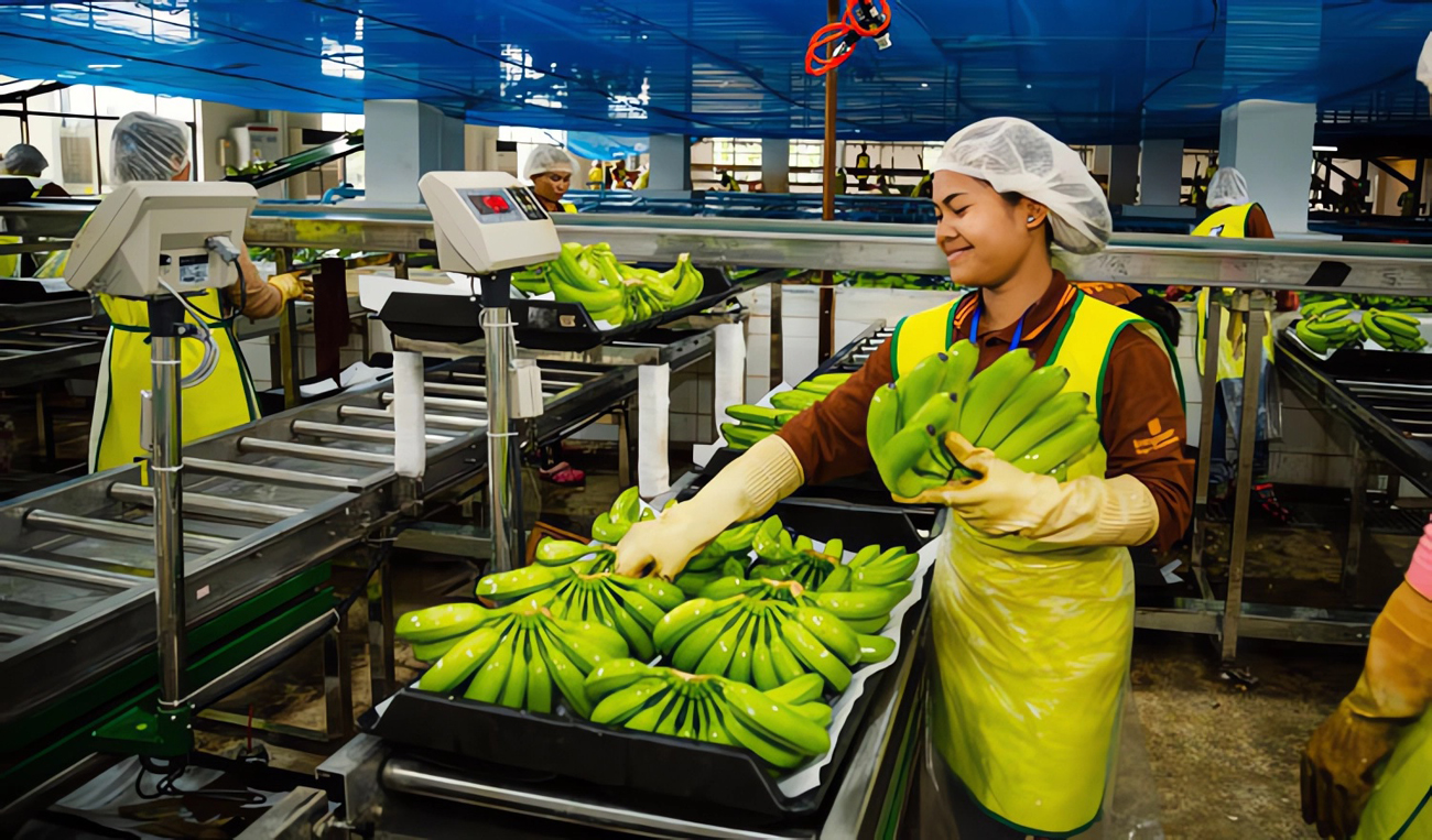 Banana Pack House