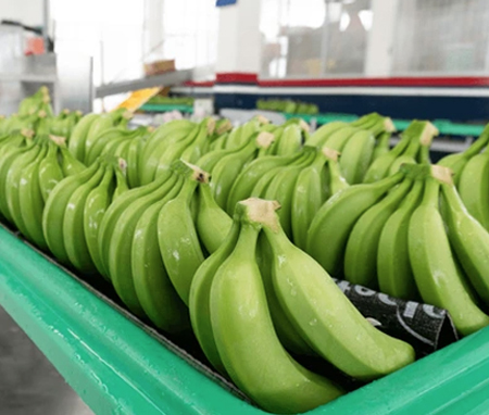 Banana Pack House