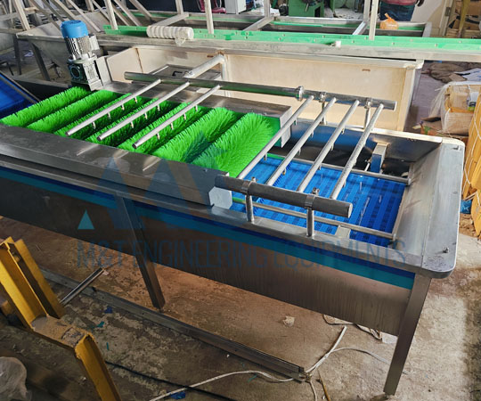 Mango Processing Line