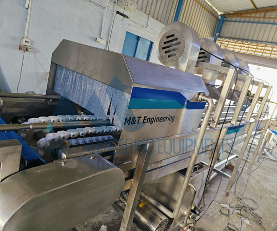 Mango Processing Line