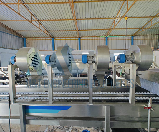 Mango Processing Line