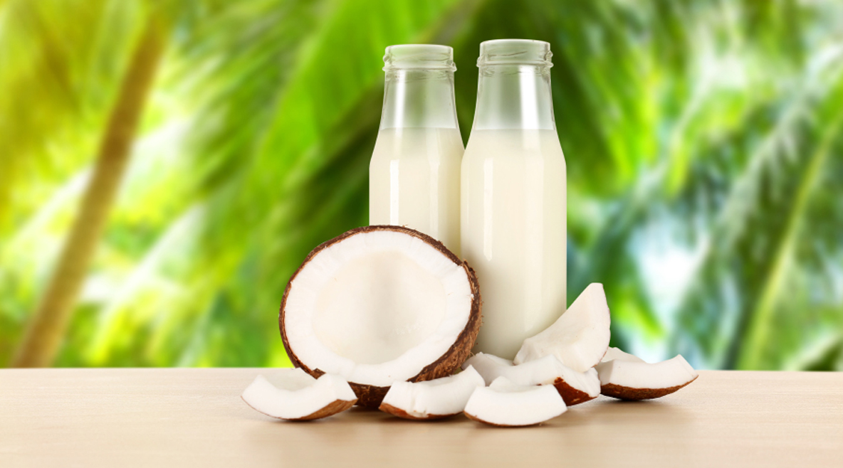 Coconut Processing Line Coconut Processing Line