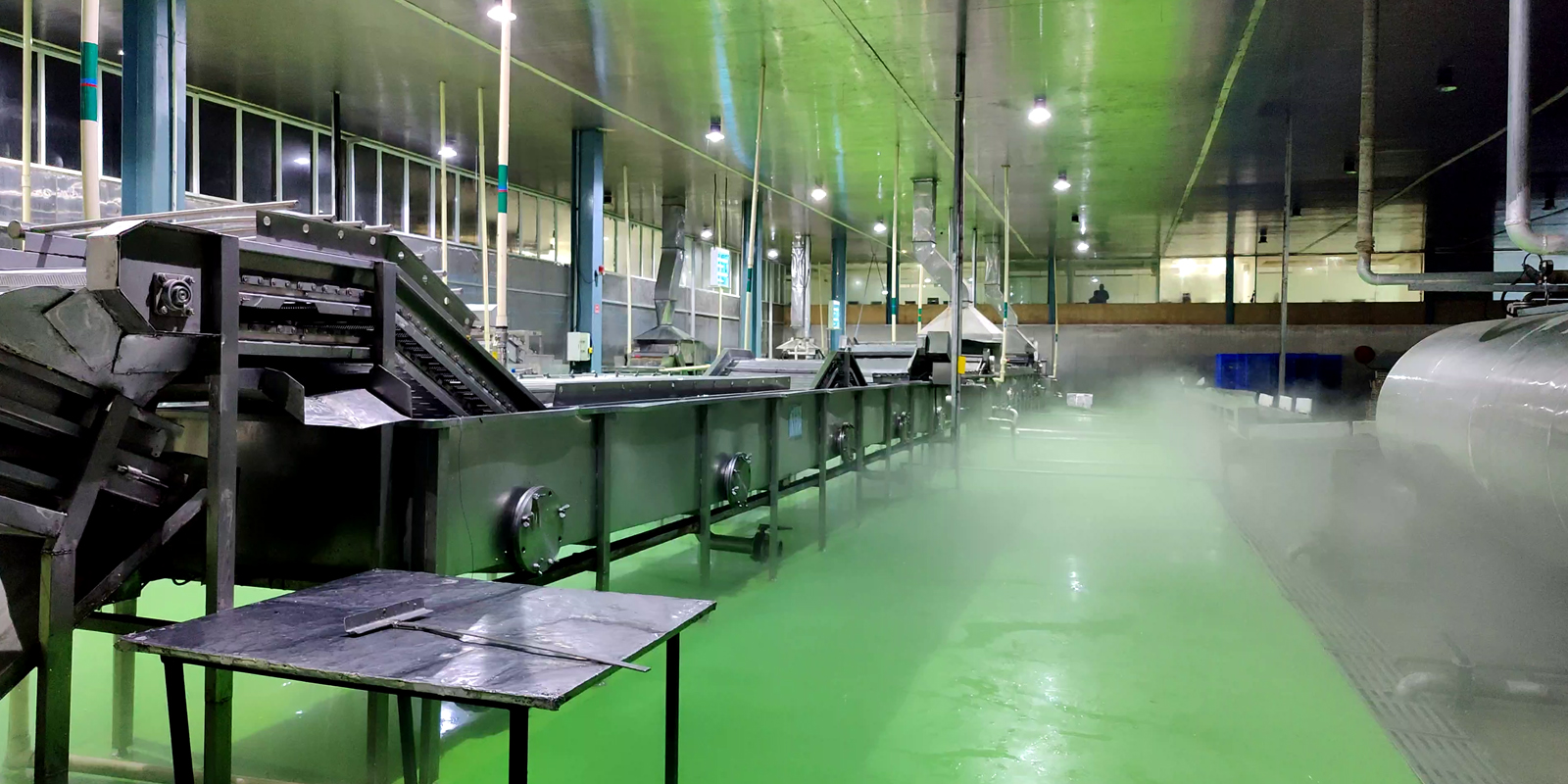 Green Peas Processing Line Green Peas Processing Line