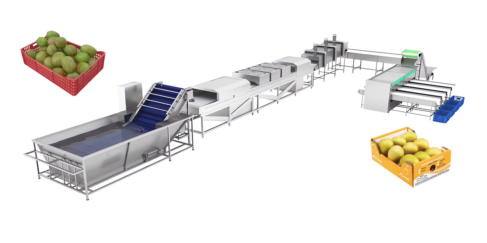 Mango Processing Line