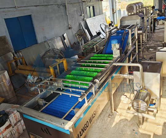 Pomegranate Processing Line