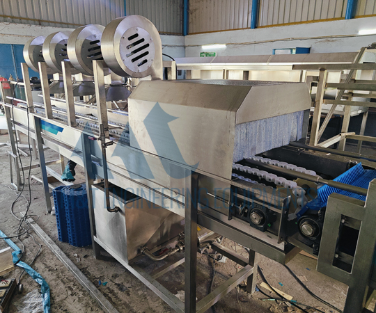 Pomegranate Processing Line