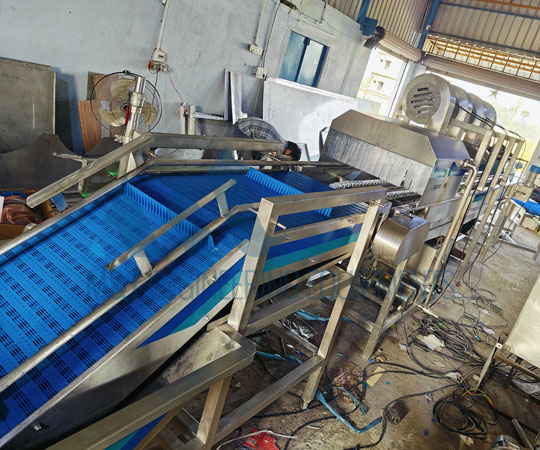 Pomegranate Processing Line