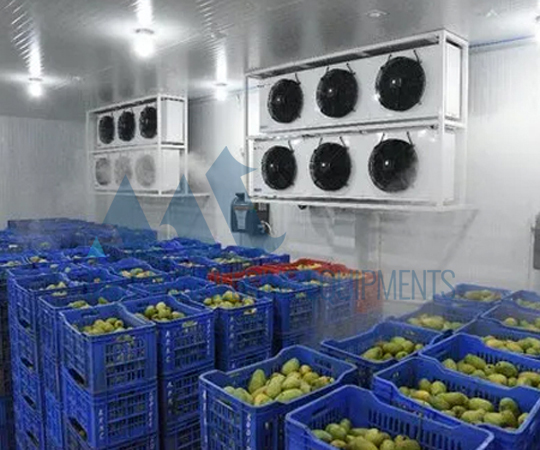 Pomegranate Processing Line